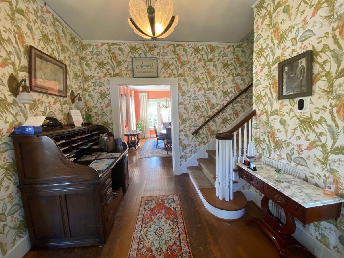 Avenue O Bed And Breakfast Галвестън Екстериор снимка